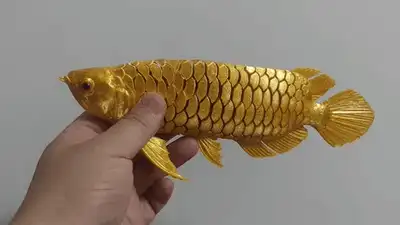 Ảnh động cá rồng Arowana vàng ánh kim thân linh hoạt in 3D