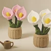 Chậu hoa calla hồng và trắng vân len in 3D