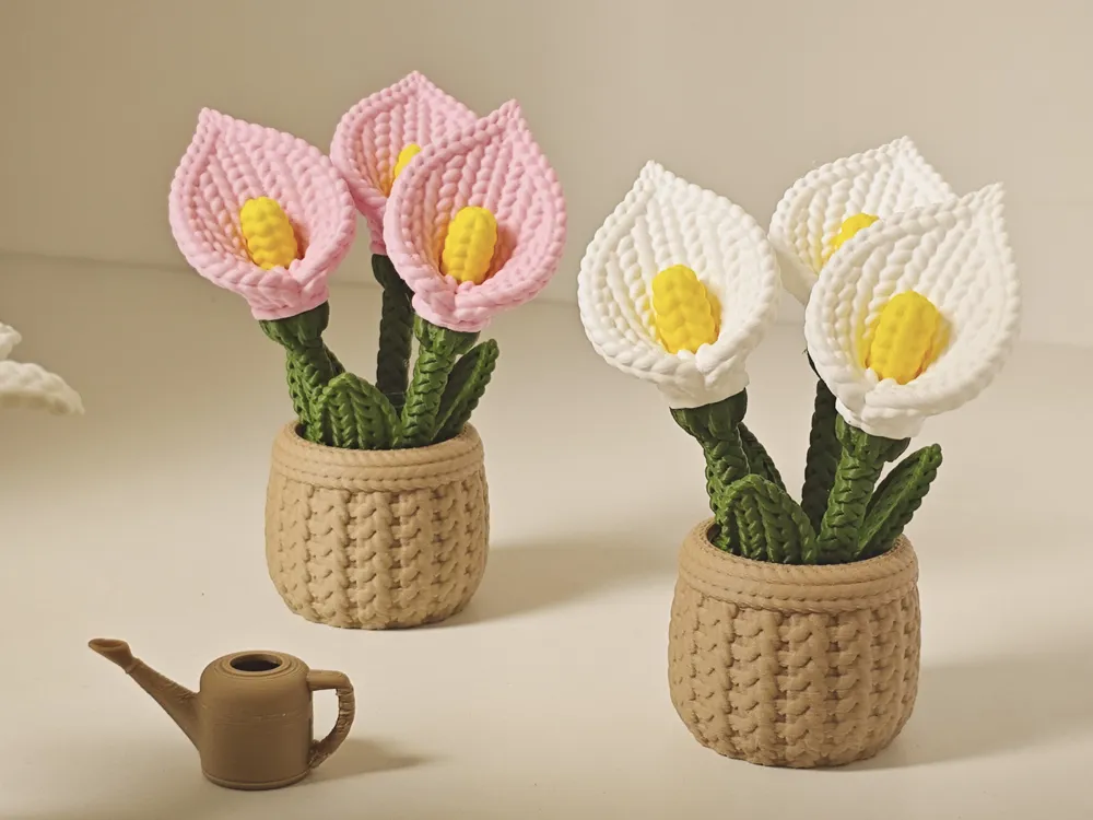 Chậu hoa calla hồng và trắng vân len in 3D