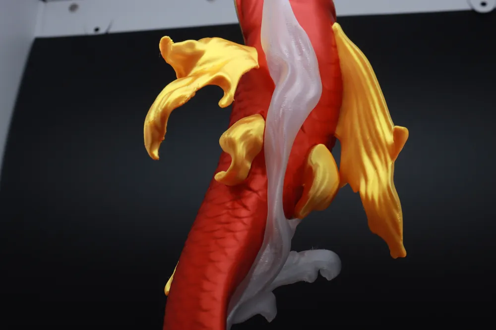 carp-3