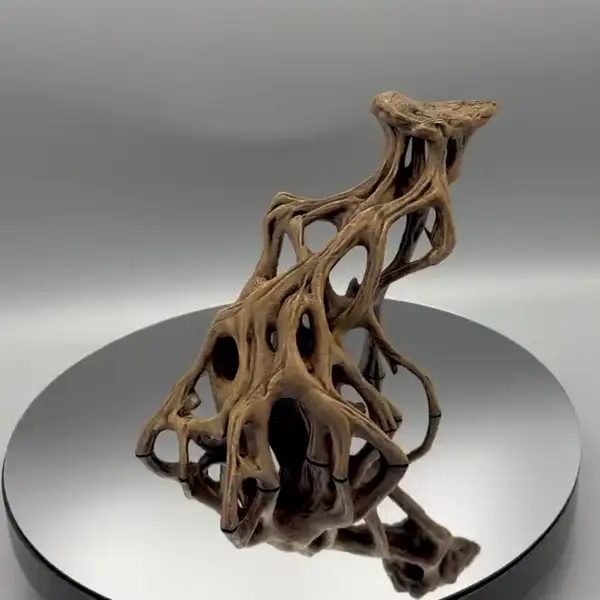 Ảnh động khối rễ cây đước nghiêng Slanted Mangrove Root in 3D