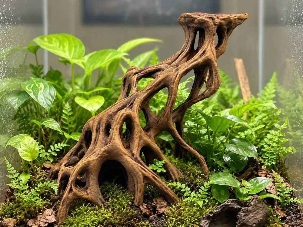 mangrove-root-2