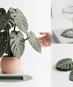 Bộ lót ly lá Monstera kèm chậu cây trang trí