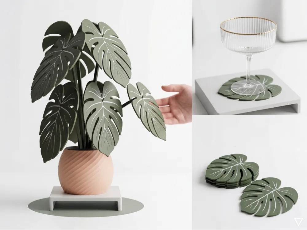Bộ lót ly lá Monstera kèm chậu cây trang trí