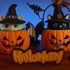 Mèo phù thủy bí ngô Halloween, hai bản màu dùng minh họa