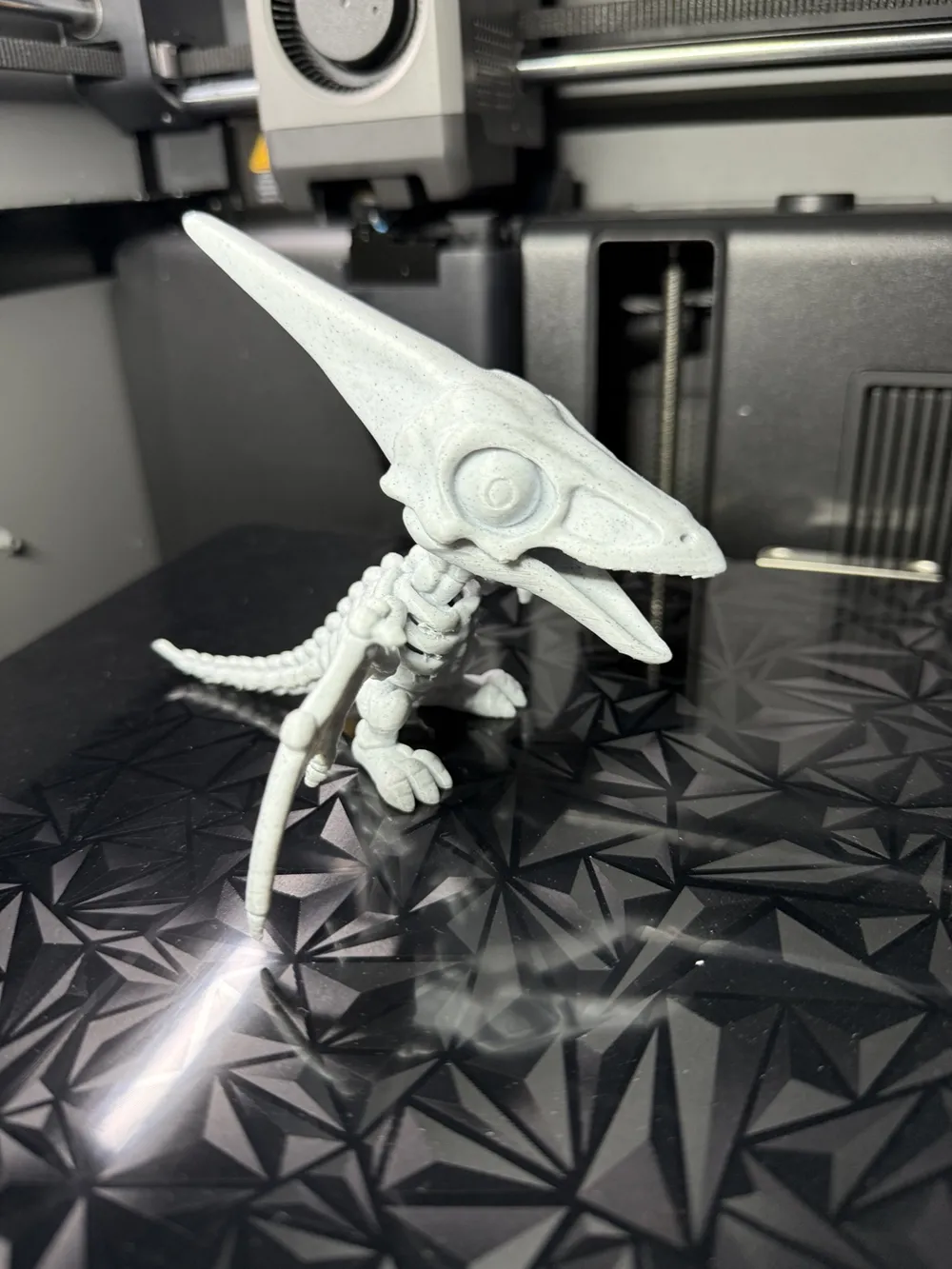 quetzalcoatlus-1 Mô hình bộ xương Quetzalcoatlus chibi in 3D nhựa PLA